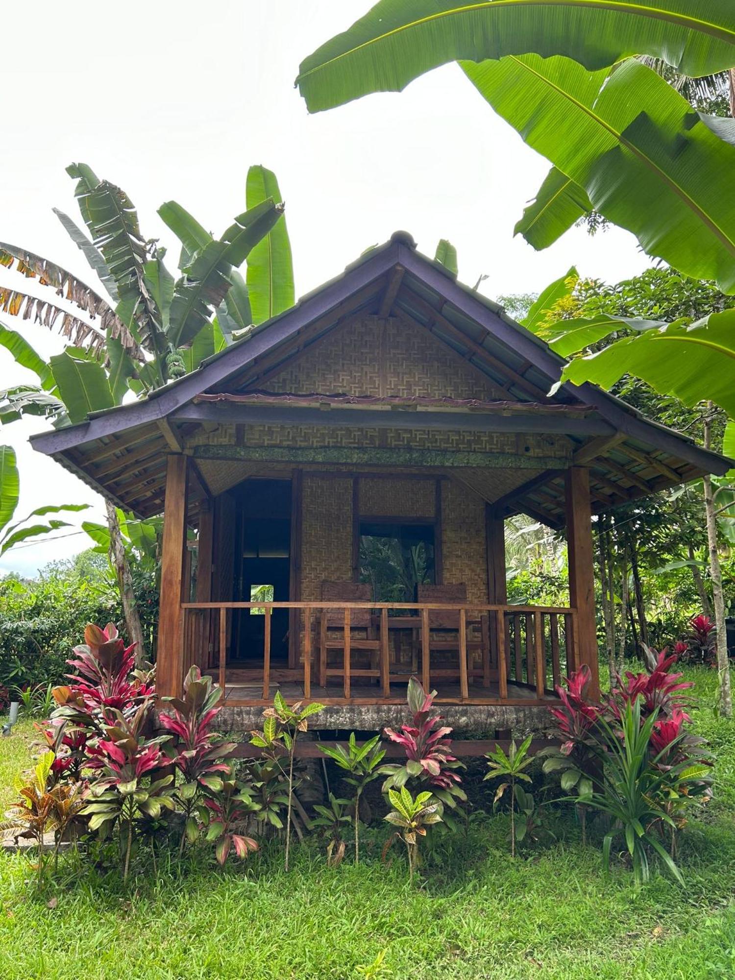 Banana Bungalows 테테바투 객실 사진