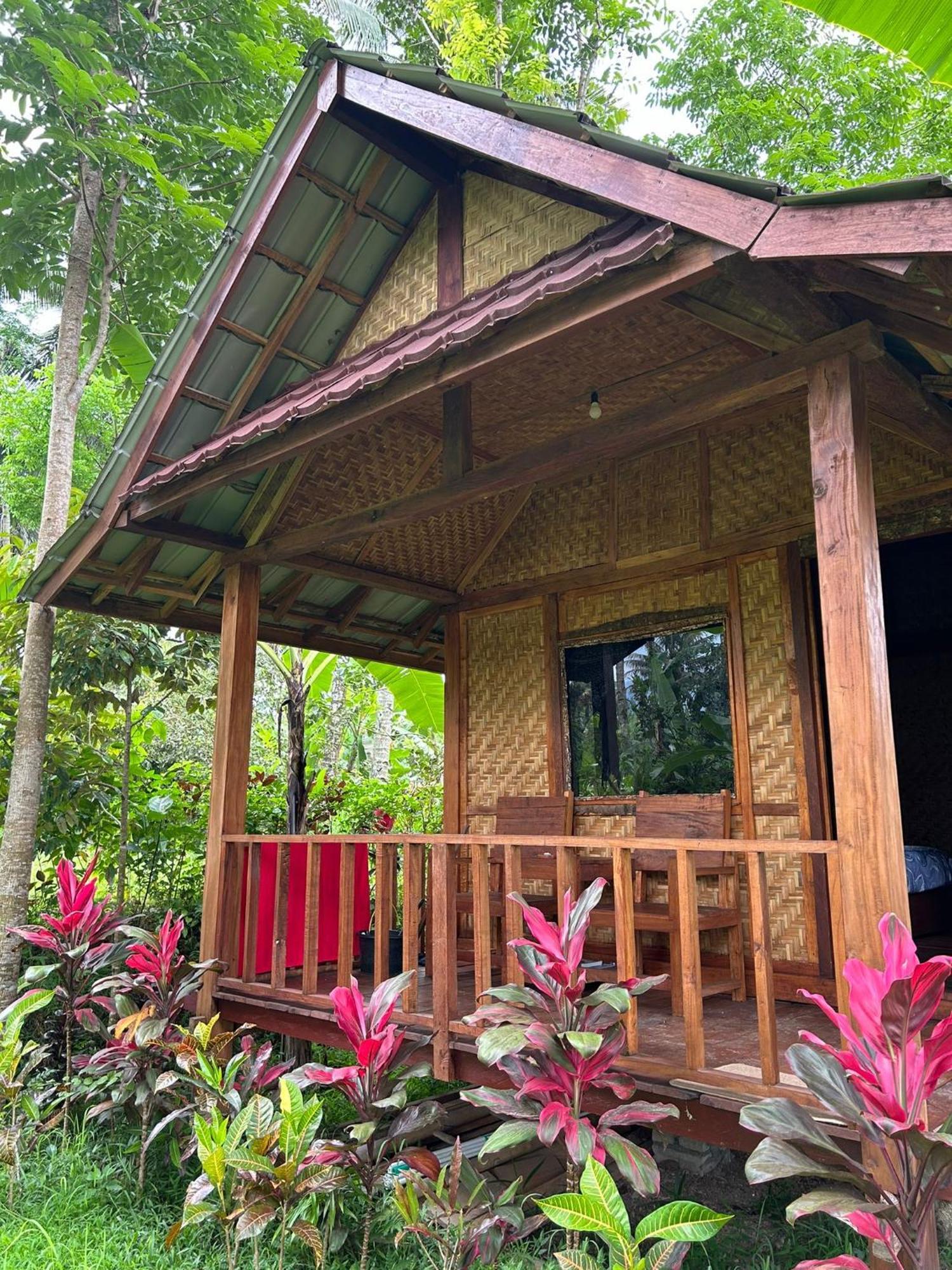 Banana Bungalows 테테바투 객실 사진