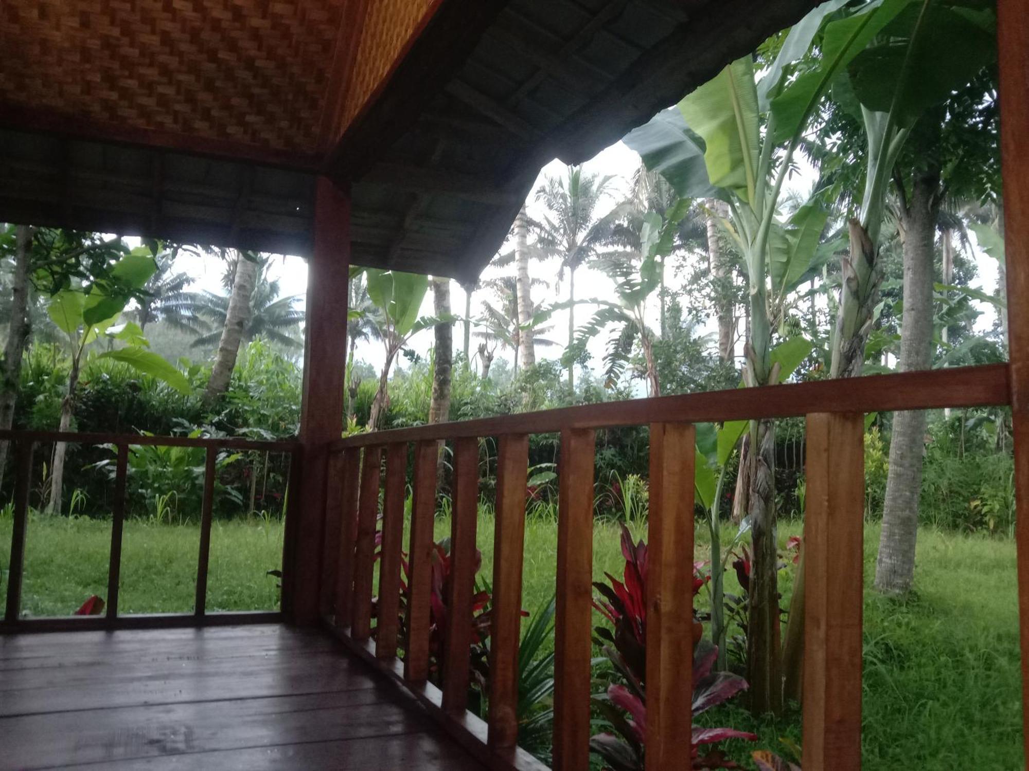 Banana Bungalows 테테바투 객실 사진